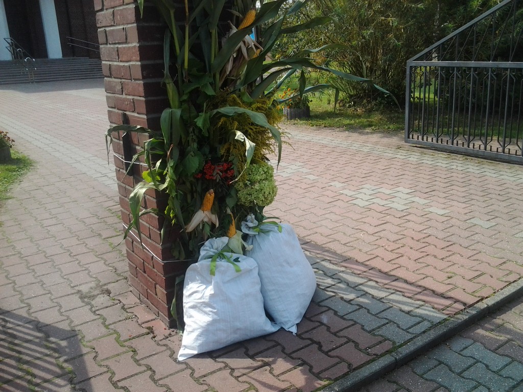 20140831_132658