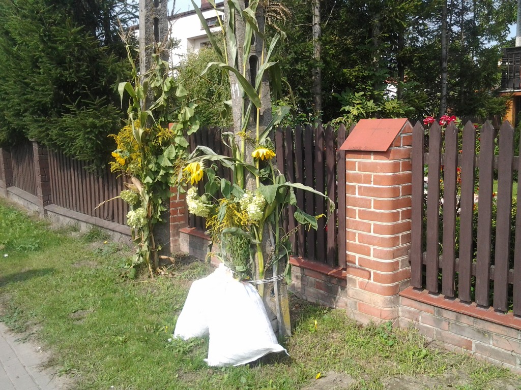20140831_133118