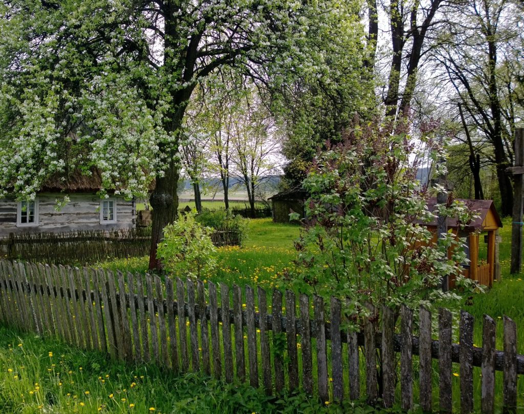 WP_20160503_15_15_46_Pro