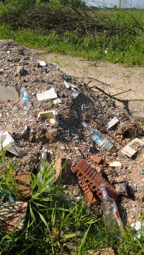 WP_20160526_09_11_43_Pro__highres