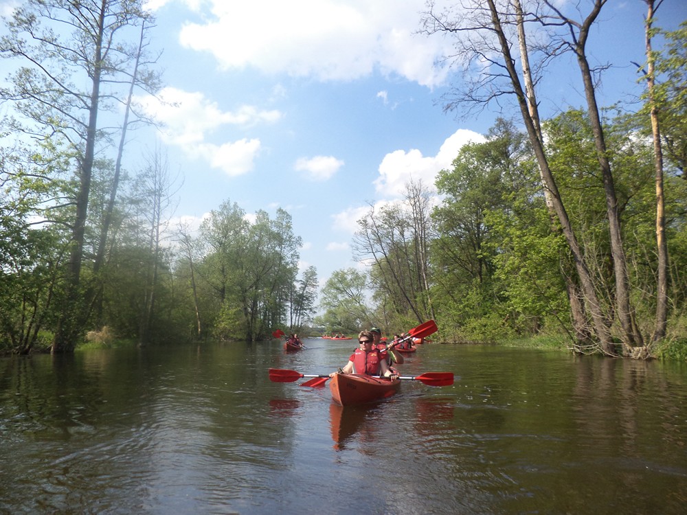 Spływ „Sokoła” – maj 2013 – zdjęcia