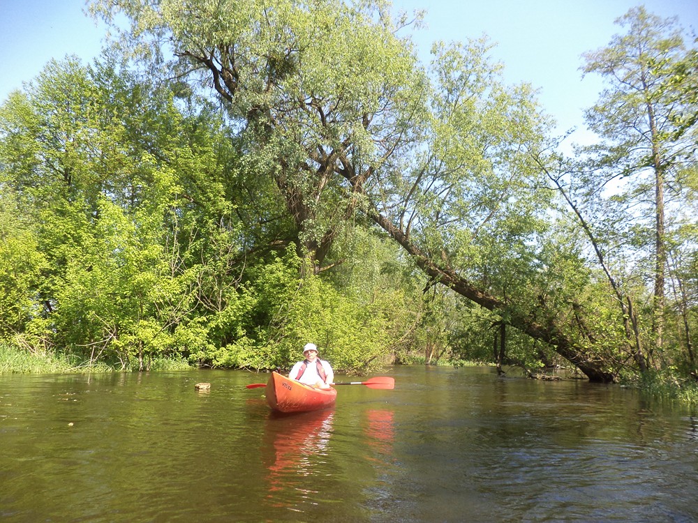 Spływ „Sokoła” – maj 2013 – zdjęcia