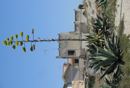 Pielgrzymka do Rzymu – nowe zdjęcia