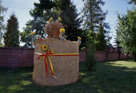 Powiatowe dożynki w obiektywie gościa z Warszawy – Jacka Ogórka