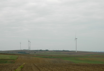 Galeria zdjęć „W sąsiedztwie wiatraków – Orzechowce 2013”