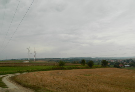 Galeria zdjęć „W sąsiedztwie wiatraków – Orzechowce 2013”