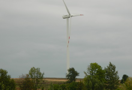 Waldemar Pawlak (PSL) forsuje wiatraki Waldemar Pawlak (PSL) forsuje wiatraki