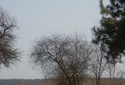 Nie będzie rent strukturalnych