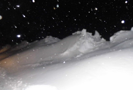 Ogłoszenia duszpasterskie 28.XII.2014. Ogłoszenia duszpasterskie 28.XII.2014.