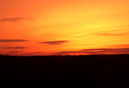 Intencje mszalne 24-30.III.