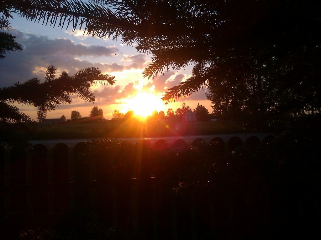 Przyroda okolic Wielkiego w obiektywie Natalii Skorupskiej