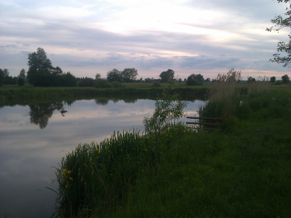 Przyroda okolic Wielkiego w obiektywie Natalii Skorupskiej