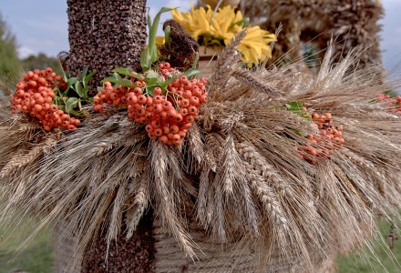 Abramowskie Dożynki 2014 w obiektywie Jacka Ogórka