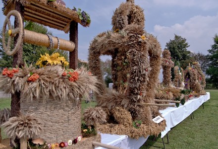 Abramowskie Dożynki 2014 w obiektywie Jacka Ogórka