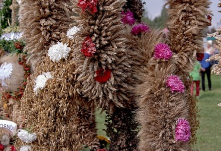 Abramowskie Dożynki 2014 w obiektywie Jacka Ogórka