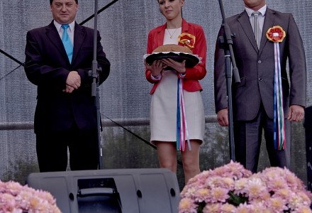 Abramowskie Dożynki 2014 w obiektywie Jacka Ogórka