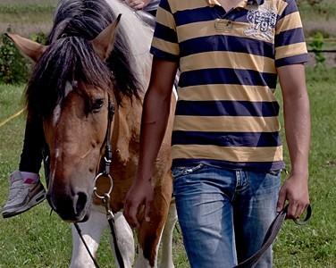 Abramowskie Dożynki 2014 w obiektywie Jacka Ogórka