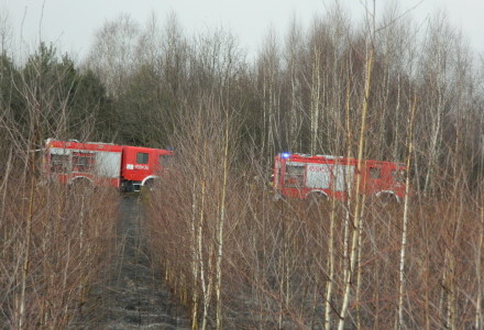 Uwaga! suche trawy. Pożar młodnika w okolicach Rudna