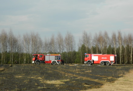Uwaga! suche trawy. Pożar młodnika w okolicach Rudna