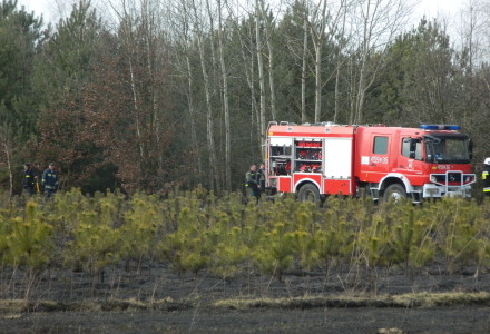 Uwaga! suche trawy. Pożar młodnika w okolicach Rudna