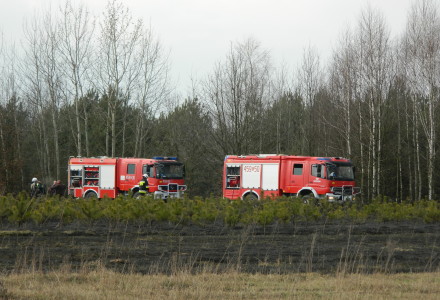 Uwaga! suche trawy. Pożar młodnika w okolicach Rudna