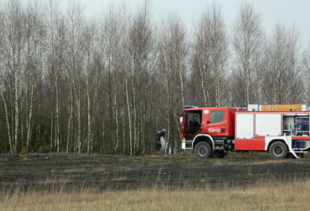 Uwaga! suche trawy. Pożar młodnika w okolicach Rudna