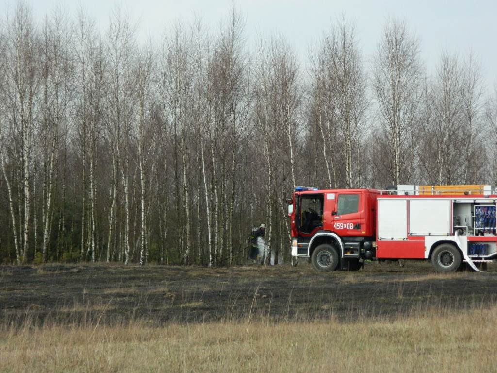 Uwaga! suche trawy. Pożar młodnika w okolicach Rudna