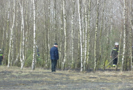 Uwaga! suche trawy. Pożar młodnika w okolicach Rudna