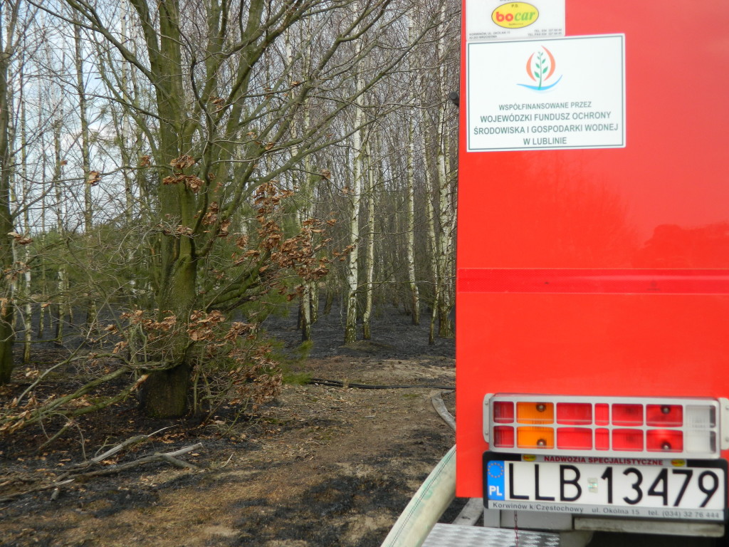 Uwaga! suche trawy. Pożar młodnika w okolicach Rudna