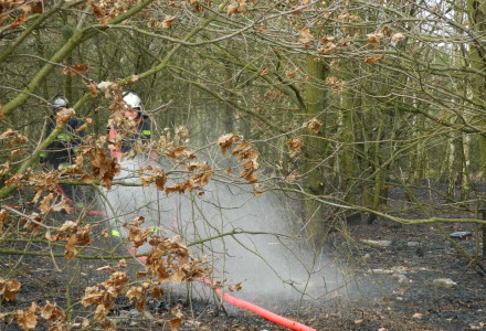 Uwaga! suche trawy. Pożar młodnika w okolicach Rudna