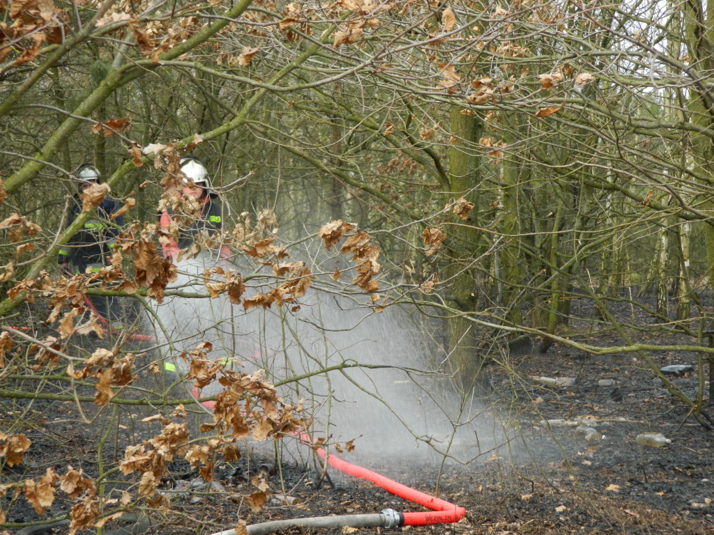 Uwaga! suche trawy. Pożar młodnika w okolicach Rudna