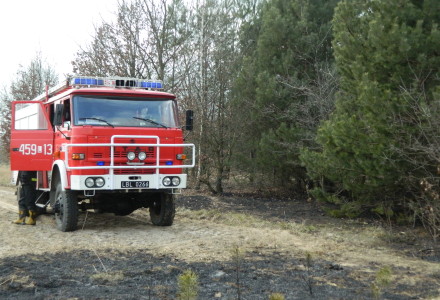 Uwaga! suche trawy. Pożar młodnika w okolicach Rudna