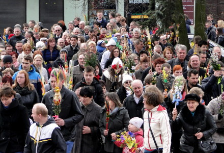 Nasze drogi krzyżowe