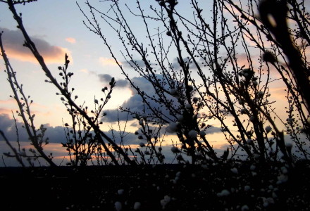 Już wiosna – zdjęcia Sylwii Zlot