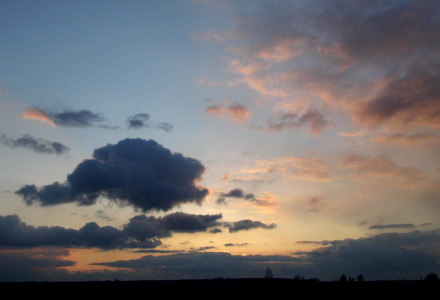 Już wiosna – zdjęcia Sylwii Zlot