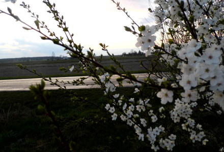 Już wiosna – zdjęcia Sylwii Zlot