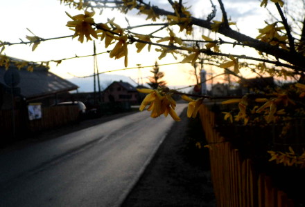 Już wiosna – zdjęcia Sylwii Zlot