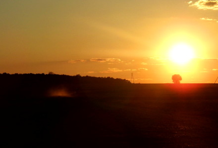 Już wiosna – zdjęcia Sylwii Zlot