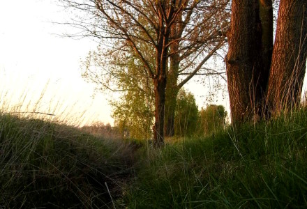 Już wiosna – zdjęcia Sylwii Zlot