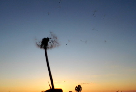 Już wiosna – zdjęcia Sylwii Zlot