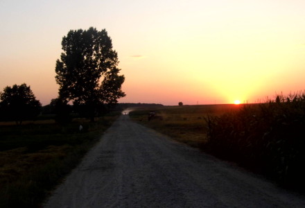 Pejzaż letni – Glinnik. Zdjęcia Sylwii Zlot