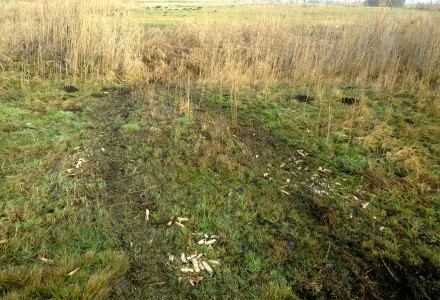 Grudniowy spacer po okolicy