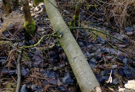 Grudniowy spacer po okolicy