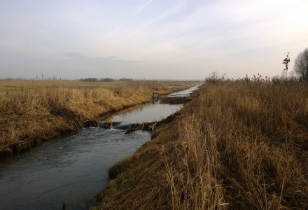 Grudniowy spacer po okolicy