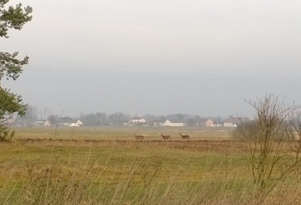 Grudniowy spacer po okolicy