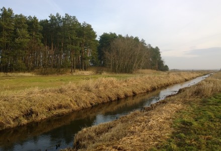 Grudniowy spacer po okolicy