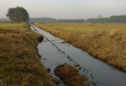 Grudniowy spacer po okolicy