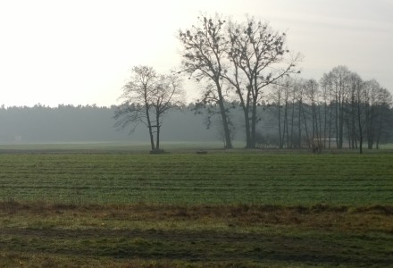 Grudniowy spacer po okolicy