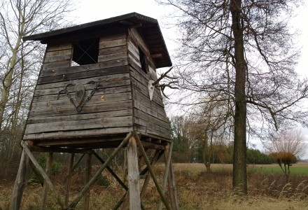 Orlicz i okolice – świąteczny spacer