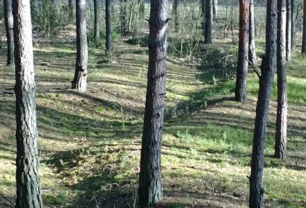 Orlicz i okolice – świąteczny spacer